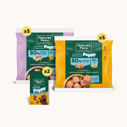 Raw Favourites Selection for Large Breed Puppies