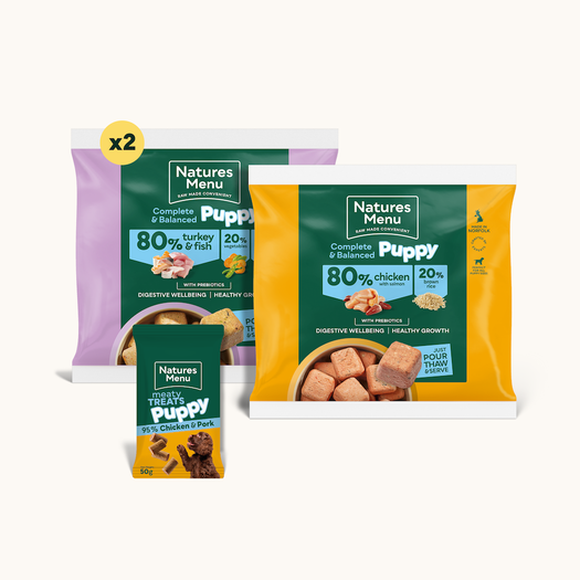 Raw Favourites Selection for Small Breed Puppies