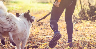  <b>RAW FEEDING VIDEOS</b><br><br>Watch our videos to find out about raw feeding, hygiene and safety, storage and more...</br>