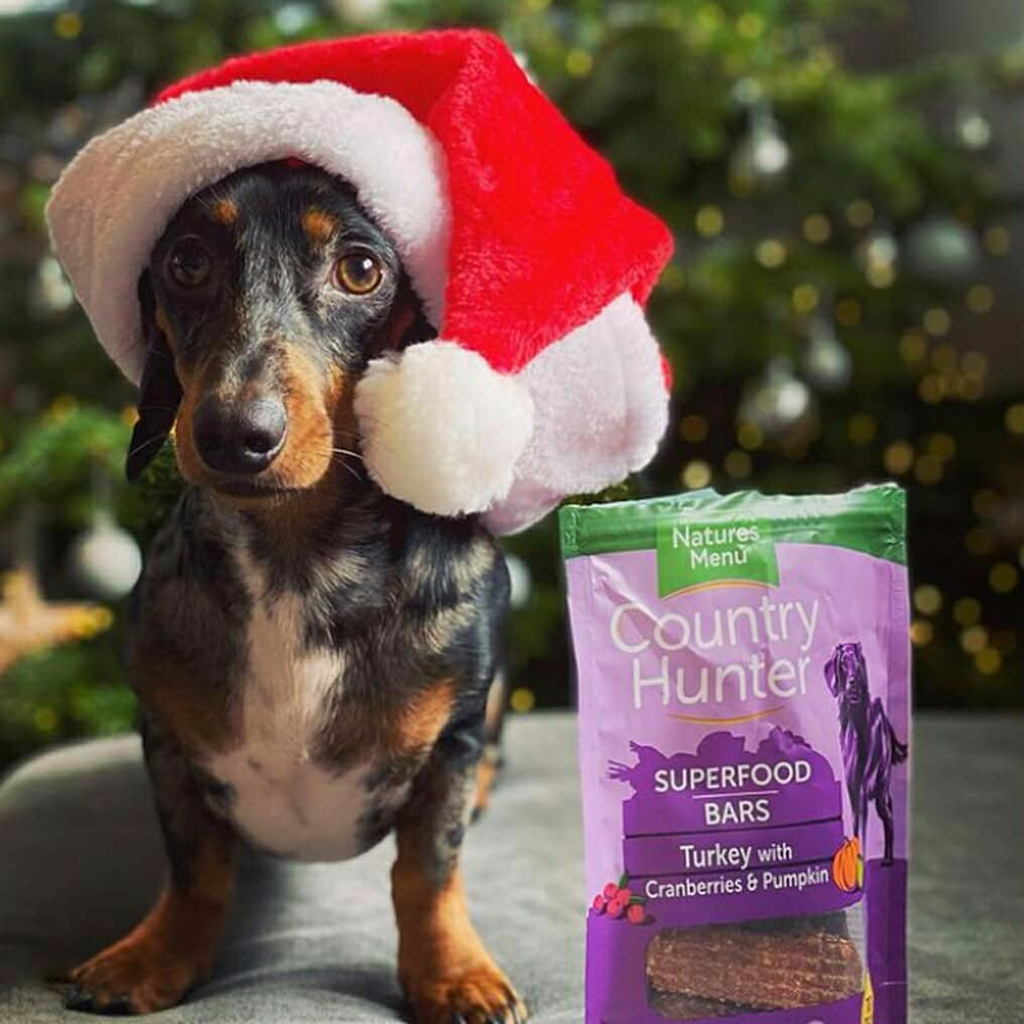  <b>DOG CHRISTMAS GIFTS: FESTIVE WAYS TO TREAT YOUR FURRY FRIEND</b><br><br>You’ve ticked off the family. Found something for that friend who’s already got everything,...</br>