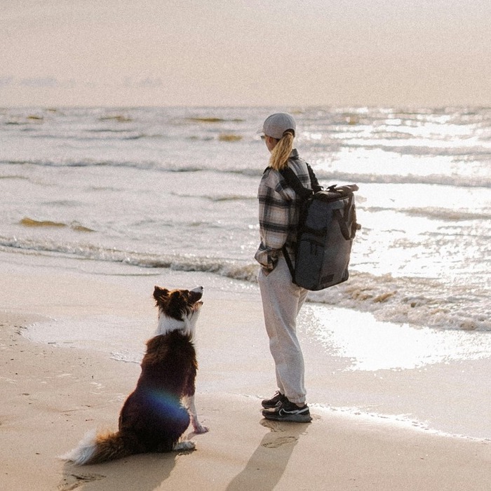 <b>TRAVELLING WITH YOUR DOG IN THE UK – THE ULTIMATE GUIDE</b><br><br>Learn how to plan a dog-friendly holiday in the UK – from finding great accommodation to helping your pooch settle in the car…</br>